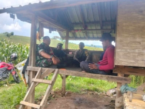 Babinsa Koramil 1614-01/Dompu Komsos dengan Petani Rababaka, Beri Motivasi Jelang Panen