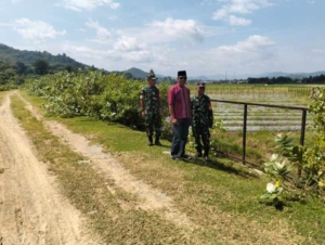 Dukung Program KDKMP, Danramil Poto Tano Tinjau Lahan di Desa Tebo