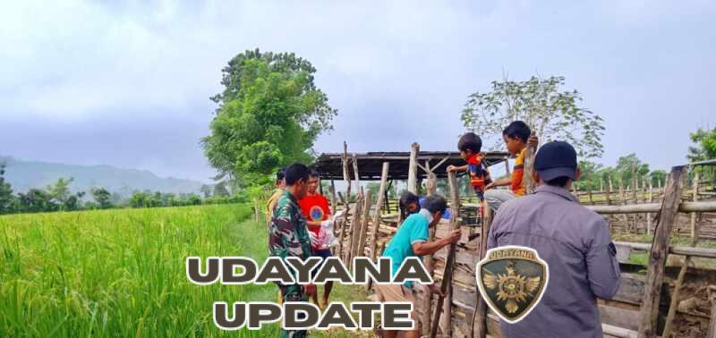 Babinsa Sertu Junaidin Dukung Upaya Penanganan Rabies di Kecamatan Pajo