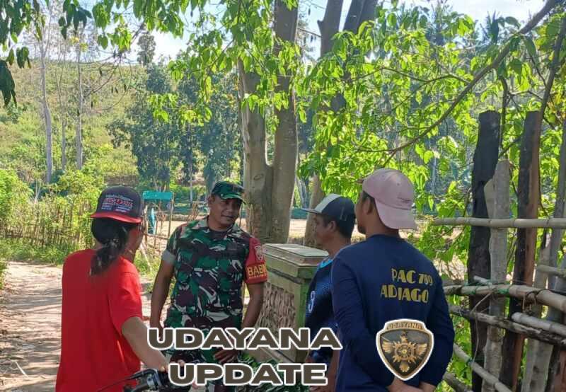 Dekat dengan Warga, Babinsa Ta’a Sampaikan Pesan Keselamatan Saat Panen