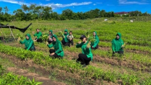 Panen Bersama Persit Yonif TP 835/SYB, Wujudkan Lahan Produktif di Satuan