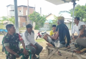 Babinsa Desa Hu’u Serka Rustam Awasi Serap Gabah Petani, Pastikan Harga Sesuai HPP