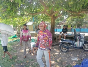 Wujud Kepedulian, Babinsa Sawe Ikut Dampingi Panen Padi