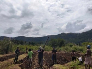 Semangat Babinsa Apui Ajak Generasi Muda Produktif di Sektor Pertanian