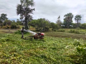 Tak Kenal Lelah, Babinsa Pahunga Lodu Bantu Petani Olah Lahan Sawah