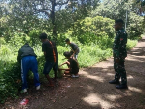 Babinsa Kewapante Bersama Warga Habi Bersihkan Ruas Jalan Desa