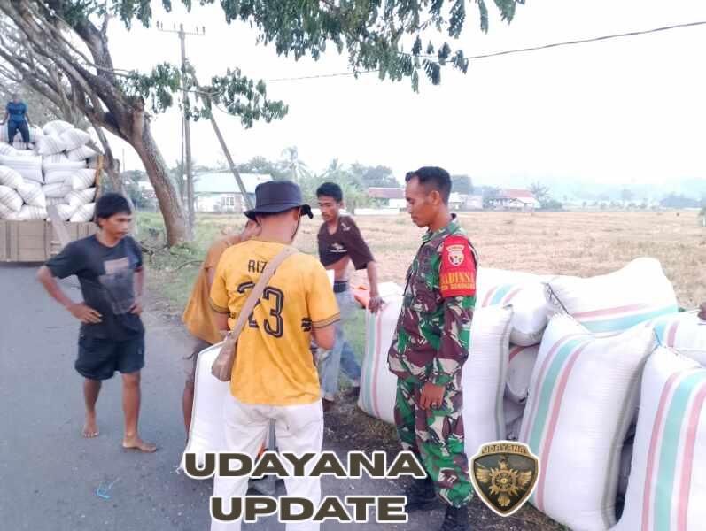Panen 2 Hektar di Dorokobo Hasilkan 118 Karung Gabah Kering Panen