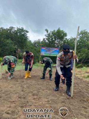 Sinergi TNI–Polri dan Pemerintah, Penanaman Jagung Serentak Dukung Swasembada Pangan di Komodo