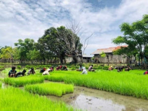 Wujud Kepedulian TNI, Pratu Hezron Wora Dampingi Petani di Karera