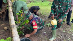 Tim Wasev Mabes TNI AD Tanam Pohon di Desa Werang, Perkuat Komitmen Lingkungan TMMD Ke-127