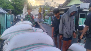 72 Karung Gabah Diserap Bulog, Babinsa Taliwang Aktif Dampingi Petani