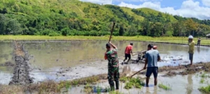 Babinsa Koramil 04/Tabundung Dampingi Warga Membuat Pematang Sawah di Desa Billa
