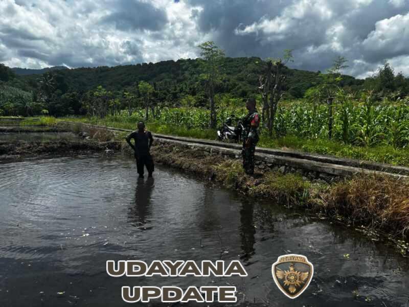 Aksi Nyata Babinsa, Dukung Produktivitas Pertanian Warga Desa Waisika