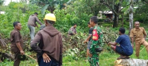 Babinsa Talibura Dampingi Pengukuran Tanah di Desa Timu Tawa