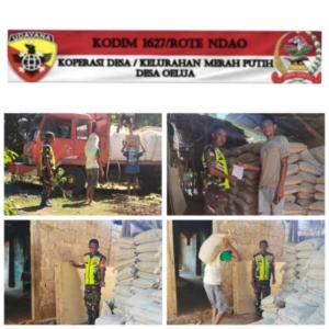 Babinsa Oelua Awasi Penurunan Material KDKMP