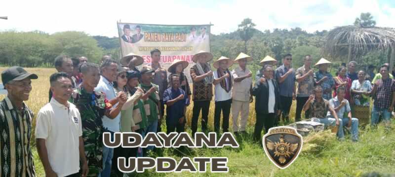 Babinsa Tuapanaf Dukung Panen Raya Ketahanan Pangan