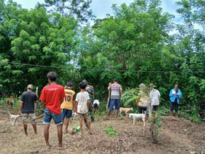 Babinsa Koramil 04/Tabundung Dampingi Petani Tanam Jagung Demi Ketahanan Pangan