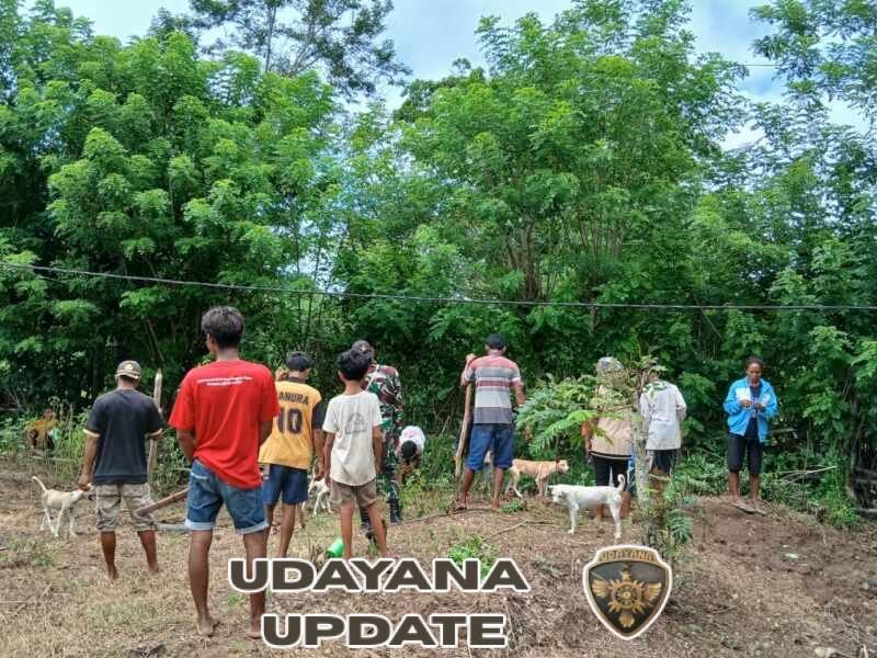 Babinsa Koramil 04/Tabundung Dampingi Petani Tanam Jagung Demi Ketahanan Pangan