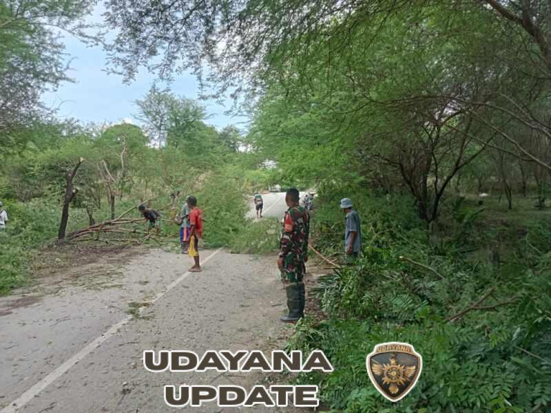 Babinsa dan Warga Bena Gotong Royong Bersihkan Jalur Listrik Menuju Dusun Toinunu.
