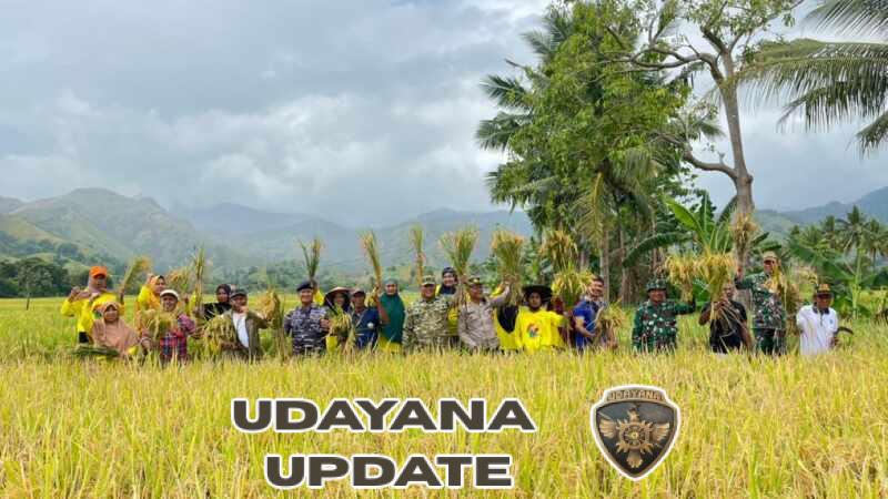 Panen Raya Magepanda, Dandim 1603/Sikka Tegaskan TNI Garda Terdepan Ketahanan Pangan