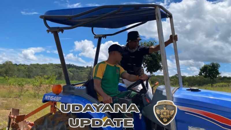 Yonarmed 12 Kostrad Bangun Ketahanan Pangan di Perbatasan Lewat Kebun Tomat Lookeu