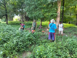 Lestarikan Budaya Gotong Royong, Babinsa Tainsala Himbau Warga Jaga Kekompakan