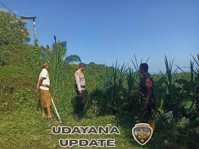 Babinsa Sukasada Dampingi Penanganan Kasus Pengrusakan Tanaman di Panji Anom