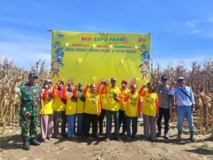 BISI Expo Farm Digelar di Kokarlian, Tingkatkan Produktivitas Petani Jagung
