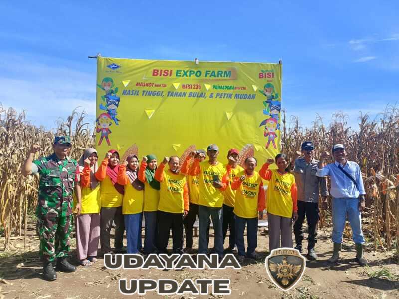 BISI Expo Farm Digelar di Kokarlian, Tingkatkan Produktivitas Petani Jagung