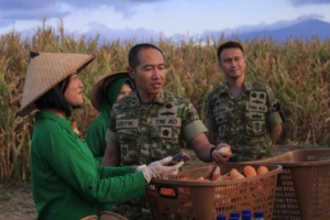 Wujudkan Ketahanan Pangan dan Gizi Prajurit, Yonif TP 834/WM Sukses Panen Jagung di Nagekeo
