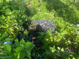 Danramil Banjar Pimpin Penanaman 250 Pohon di Hutan Desa Gobleg Peringati Hari Bumi