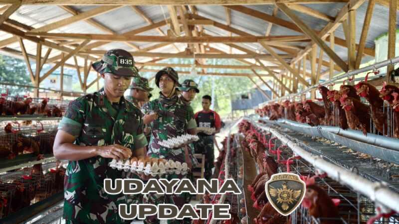 Prajurit Yonif TP 835/SYB menunjukkan produktivitas dengan panen telur dan lele