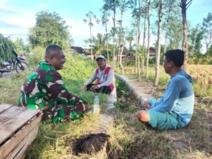 Komsos Babinsa Bersama Petani di Jerowaru Perkuat Sinergi Penyerapan Gabah