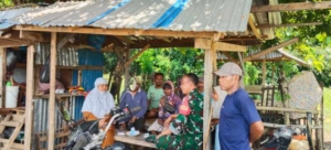 Babinsa Dompu Turun ke Lapangan, Pastikan Hasil Panen Warga Diserap Bulog