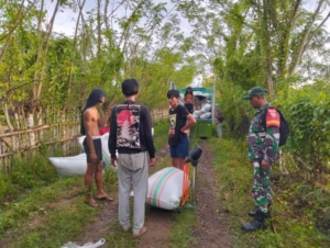 Pendampingan Babinsa, Hasil Panen Petani Desa Goa Diserap Maksimal oleh Bulog