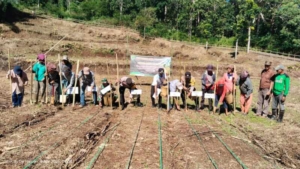 Wujudkan Kemandirian Pangan, Babinsa Hadiri Kegiatan Pertanian di Golo Damu