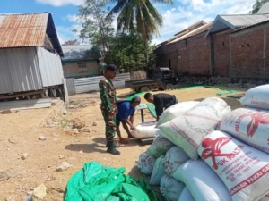 Kegiatan Pendampingan Gabah oleh Babinsa Oi Maci Berjalan Lancar dan Aman