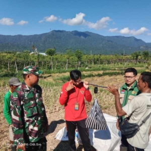 Sinergi TNI dan PPL Pertanian: Babinsa Gerokgak Dampingi Petani Laksanakan Pengubinan Padi di Subak Gede