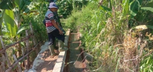 Koramil Sukasada Ikuti Vicon Bantuan Irigasi Korem 163/WSA di Subak Tegallinggah