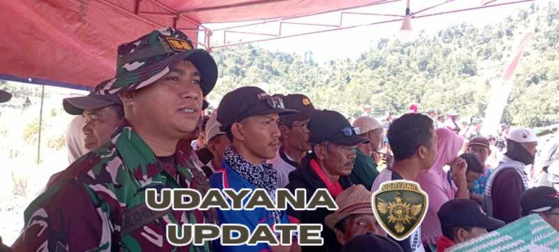 Warga Antusias, Karapan Kerbau Jadi Puncak Perayaan Harla Desa Seminar Salit