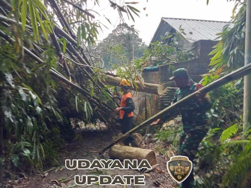 Babinsa 1623-02/Abang Bersama BPBD Tangani Pohon Tumbang di Desa Ababi