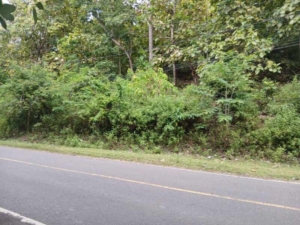 Pengecekan Lahan KDMP di Meraran Berjalan Tertib dan Aman