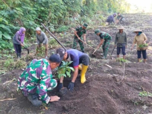 TNI menyatu dengan alam 1000 pohon ditanam Satgas TMMD ke- 128 Kodim 1623/Karangasem.