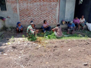Babinsa Tulleng Bersama Poktan Permata Olah Polibag Alami untuk Persemaian