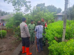 Babinsa dan Bhabinkamtibmas Tingkatkan Keamanan Desa Waiula Melalui Monitoring Wilayah