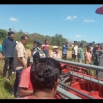 Babinsa Koramil 01/Lewa Hadiri Penyerahan Alsintan dan Panen Perdana Padi Impari di Tanarara