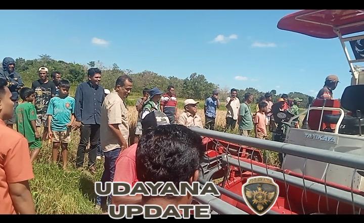 Babinsa Koramil 01/Lewa Hadiri Penyerahan Alsintan dan Panen Perdana Padi Impari di Tanarara