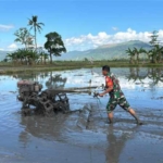 Babinsa Koramil 1614-01/Dompu Bantu Petani Bajak Sawah di Simpasai