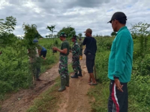 Sinergi TNI dan Masyarakat, Penghijauan Digencarkan di Desa Pemongkong