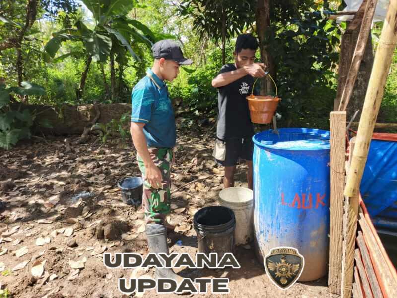 Yonarmed 12 Kostrad Dukung Ketahanan Pangan, Bantu Petani Tomat di Perbatasan